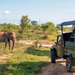 Elephant Safari Tour Elephant Safari Tour