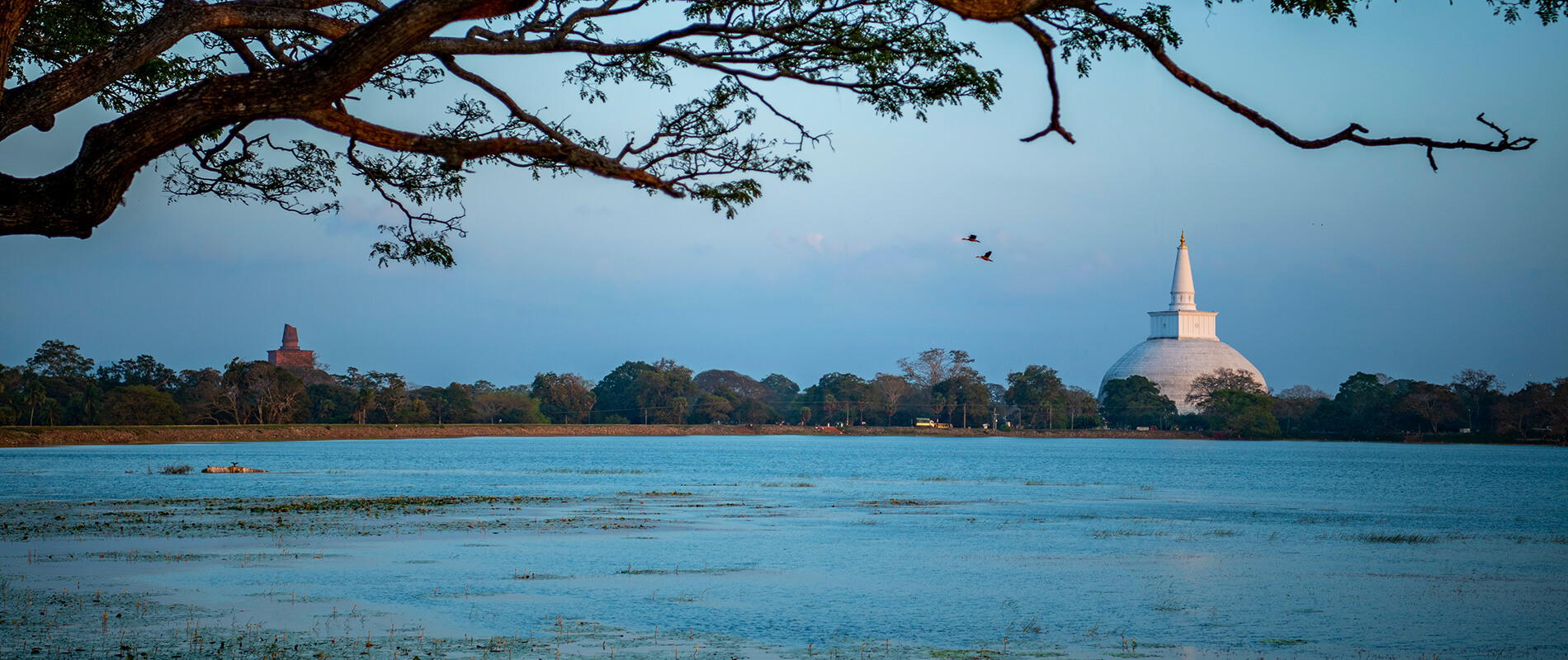 Last Minute Tour in Sri Lanka