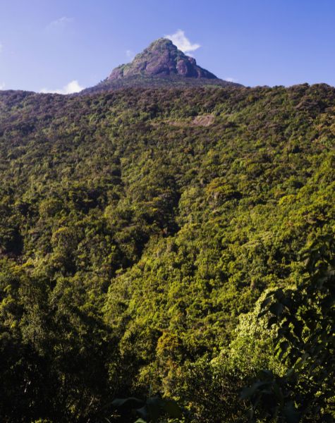 Adams peak