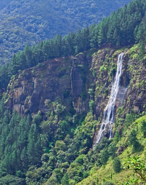 Bambarakanda falls in Sri lanka