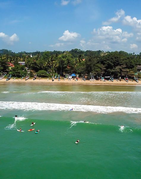 Dolphins in Trincomalee Sea