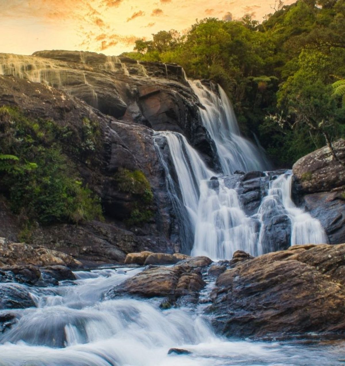 Eco Tour in Sri Lanka