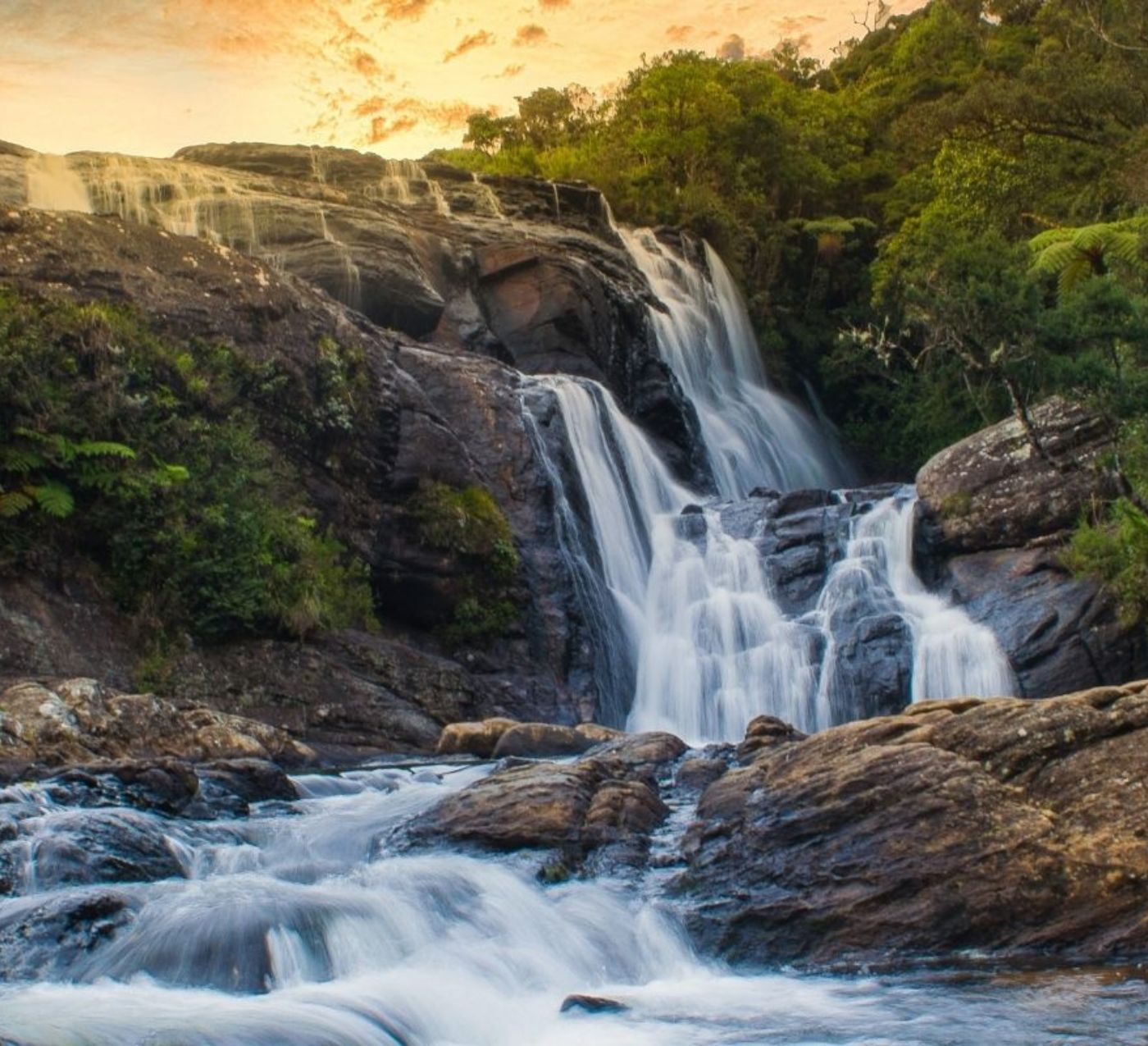 Eco Tour in Sri Lanka