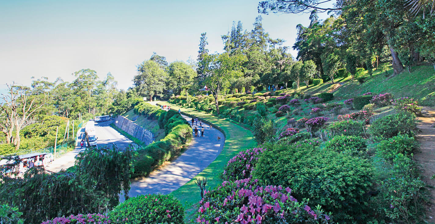 Hakgala Botanical Garden