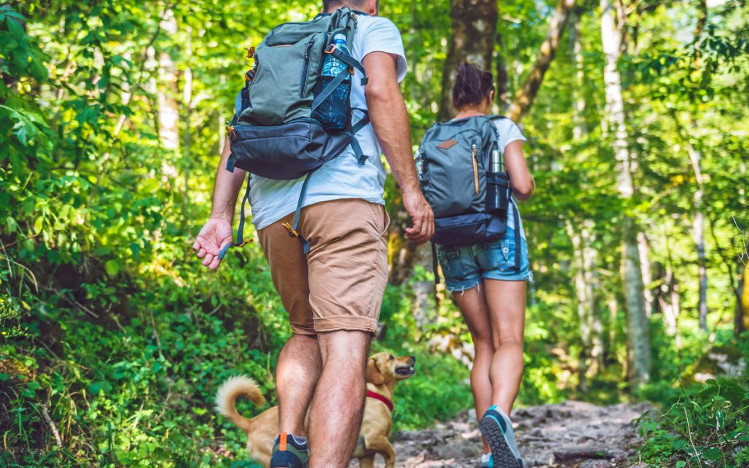 Hiking & Trekking Tour In Sri Lanka