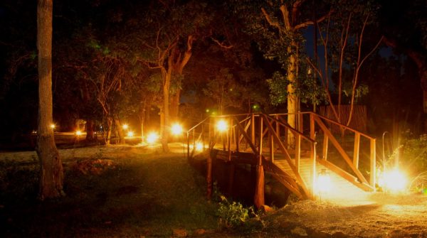 Leopard Trails