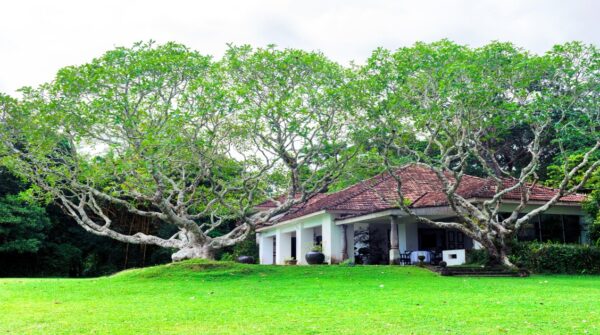 Lunuganga Country Estate-Bentota