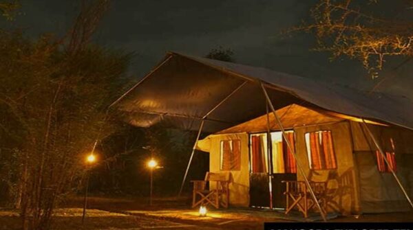 Mahoora Tented Safari Camps