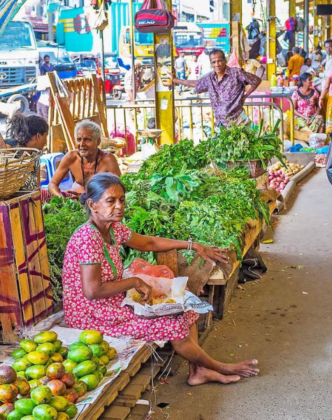 Markets to Visit in Sri Lanka