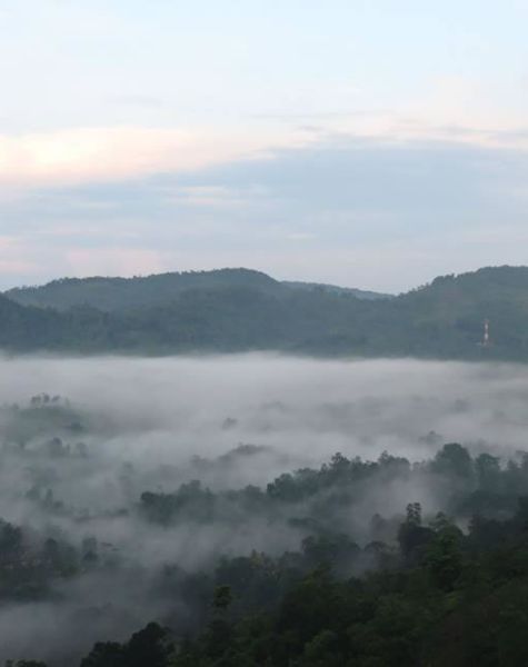 Mountain View from Sinharaja