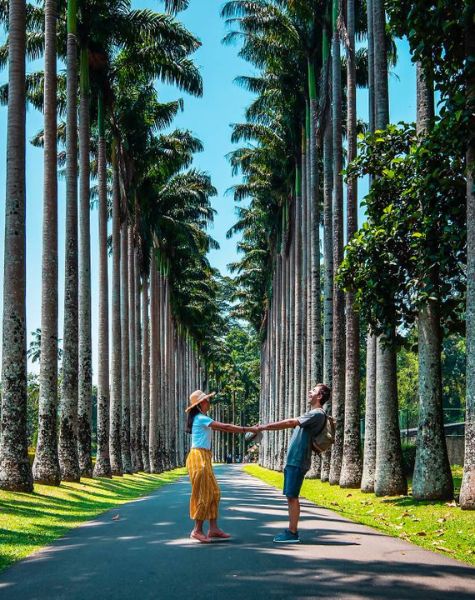 Peradeniya Botanical Garden