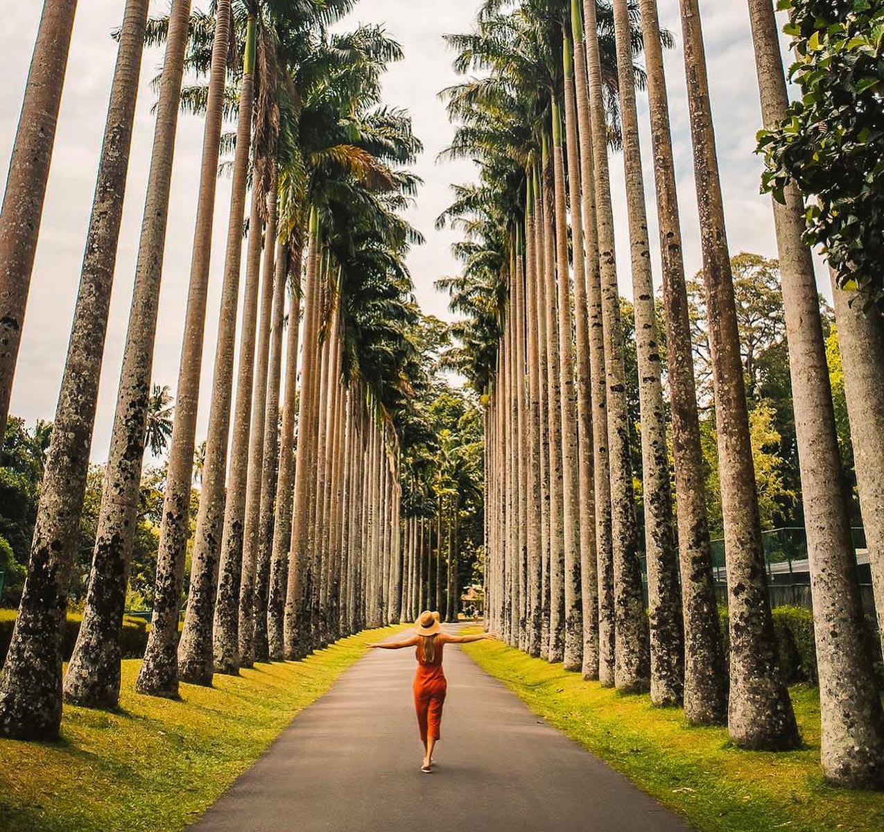 Peradeniya Botanical Garden