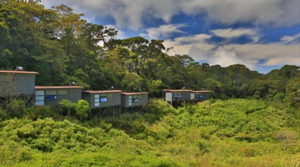Rain Forest Eco Lodge