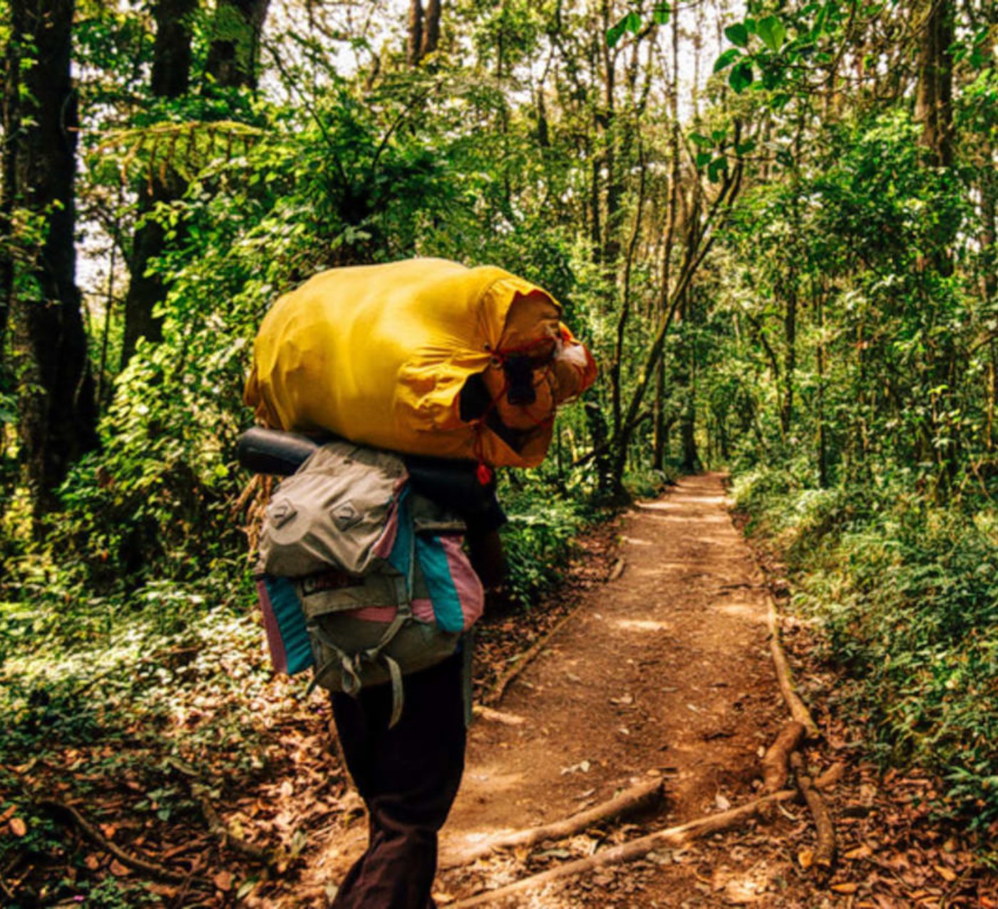 Rainforest Tours Sri Lanka