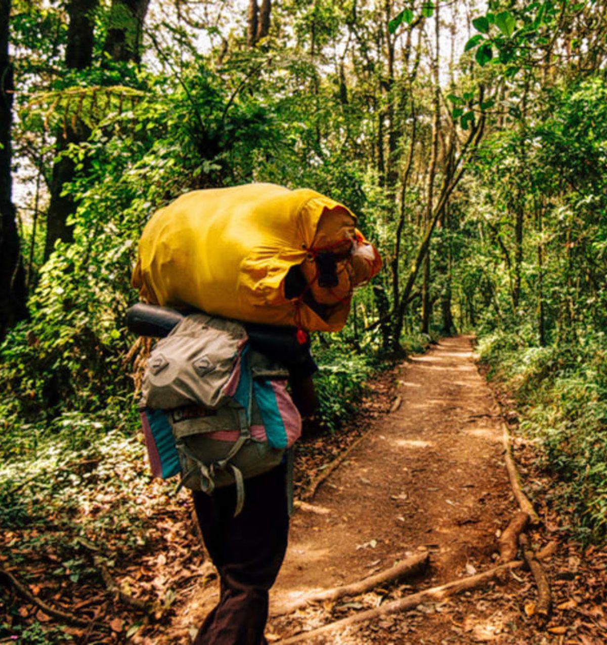 Rainforest Tours Sri Lanka