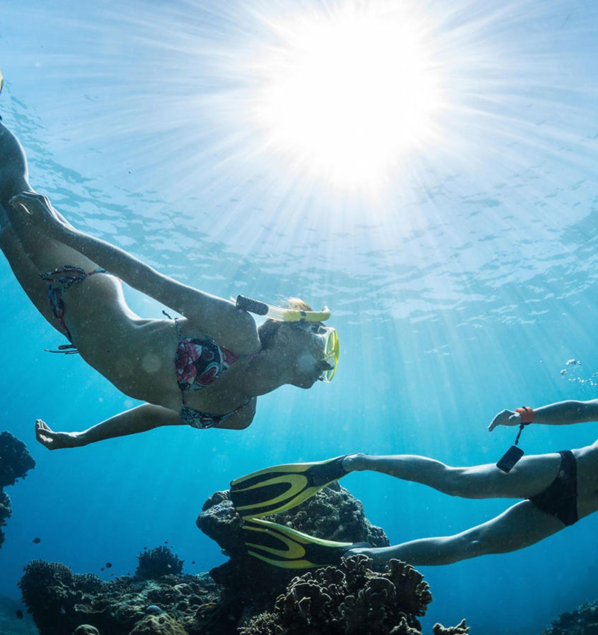 Scuba Diving Tour In Sri Lanka