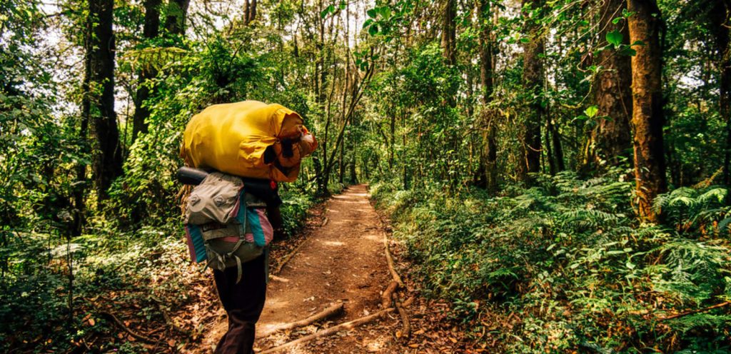 Sinharaja rain forest