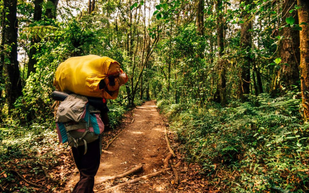 Rainforest Tours Sri Lanka