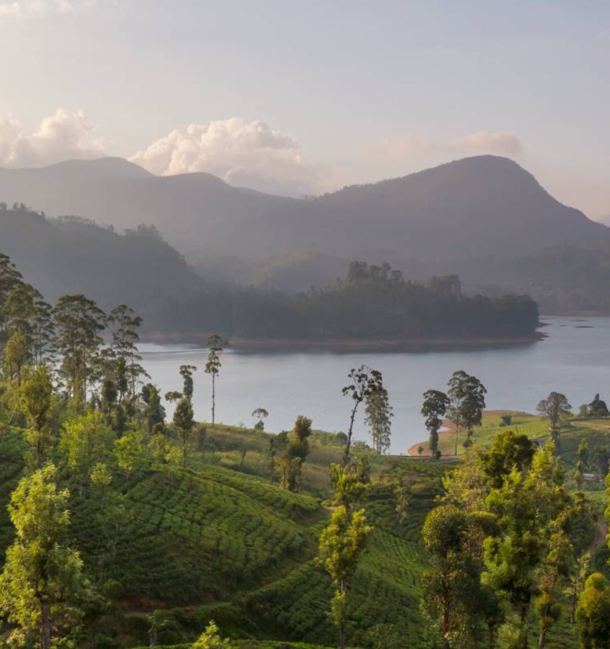 Slow-Paced Luxury Tour in Sri Lanka