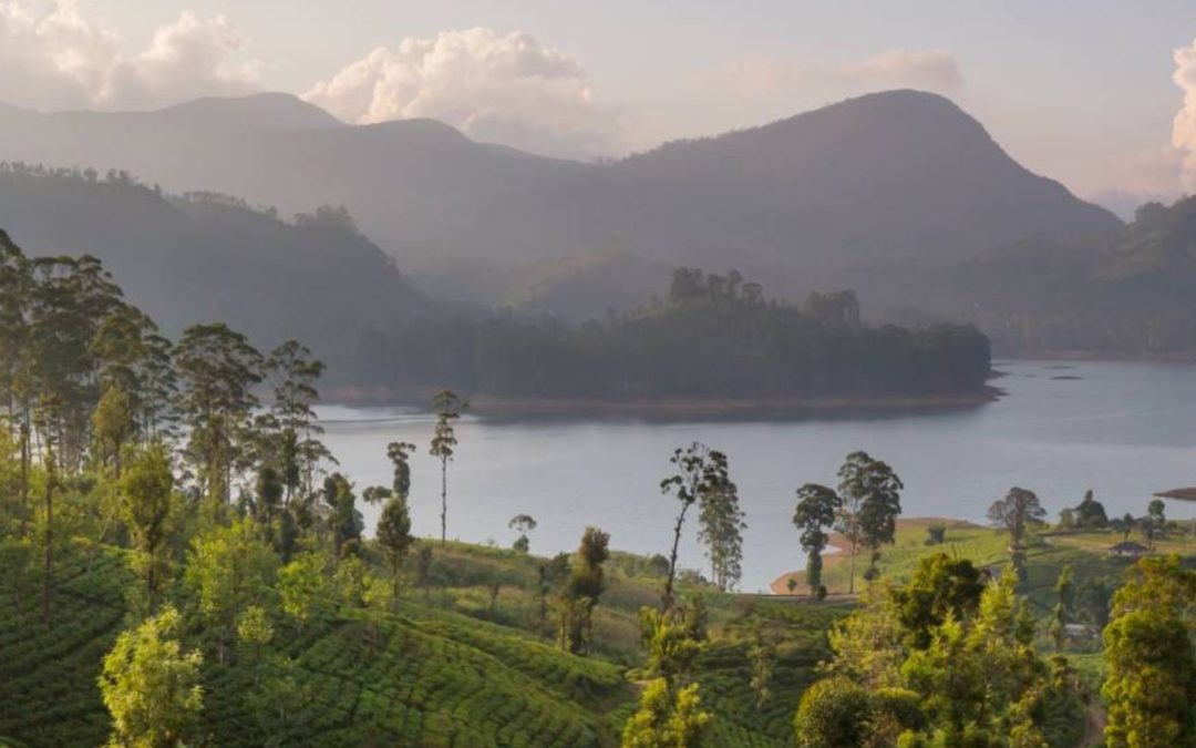 Slow-Paced Luxury Tour in Sri Lanka