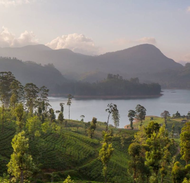 Slow-Paced Luxury Tour in Sri Lanka