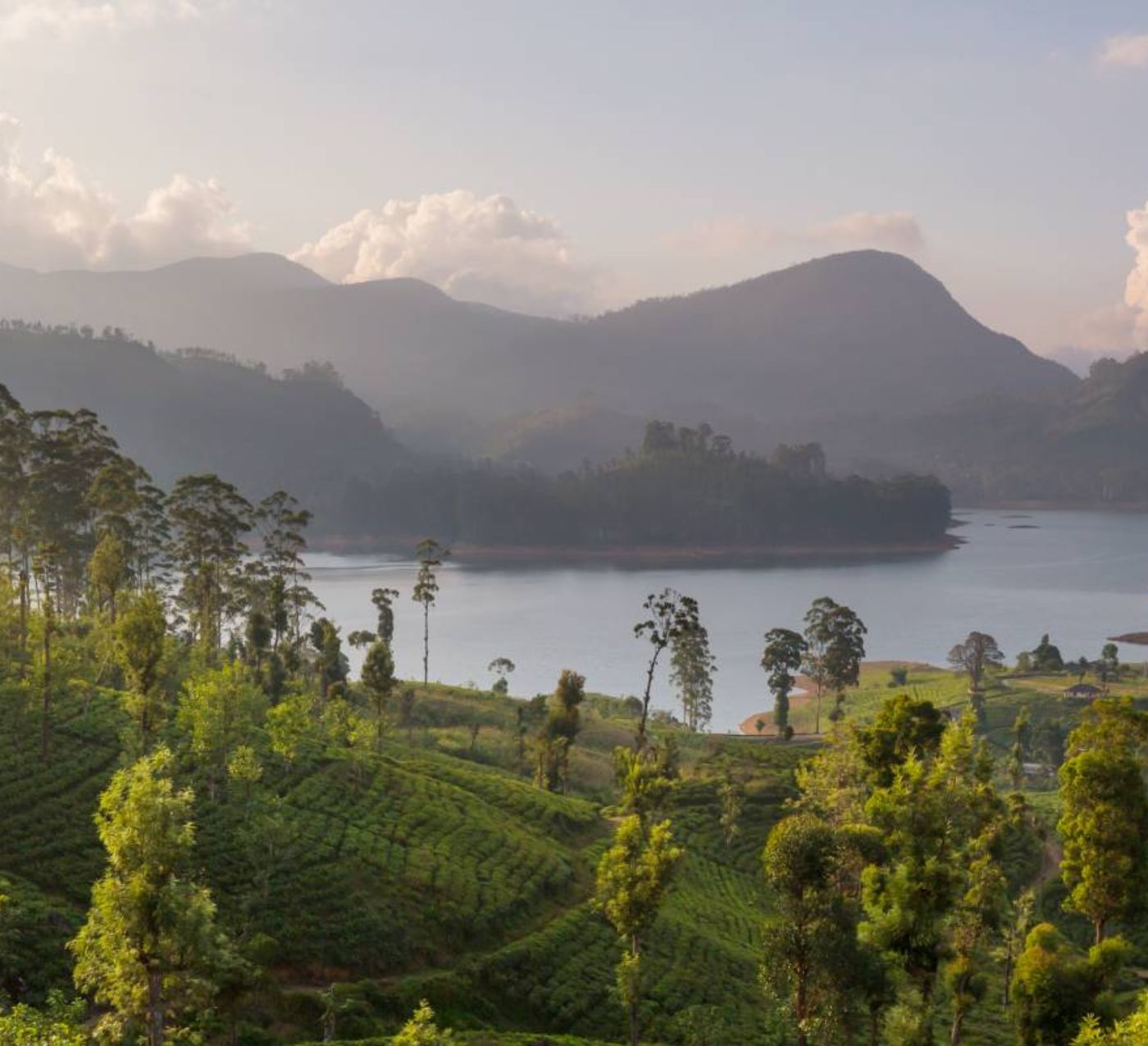 Slow-Paced Luxury Tour in Sri Lanka