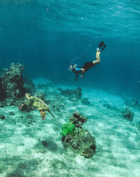 Snorkeling in Sri Lanka 