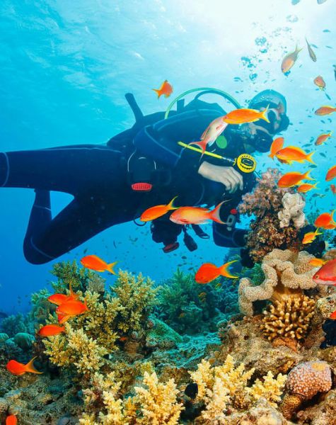 Snorkeling in Sri Lanka