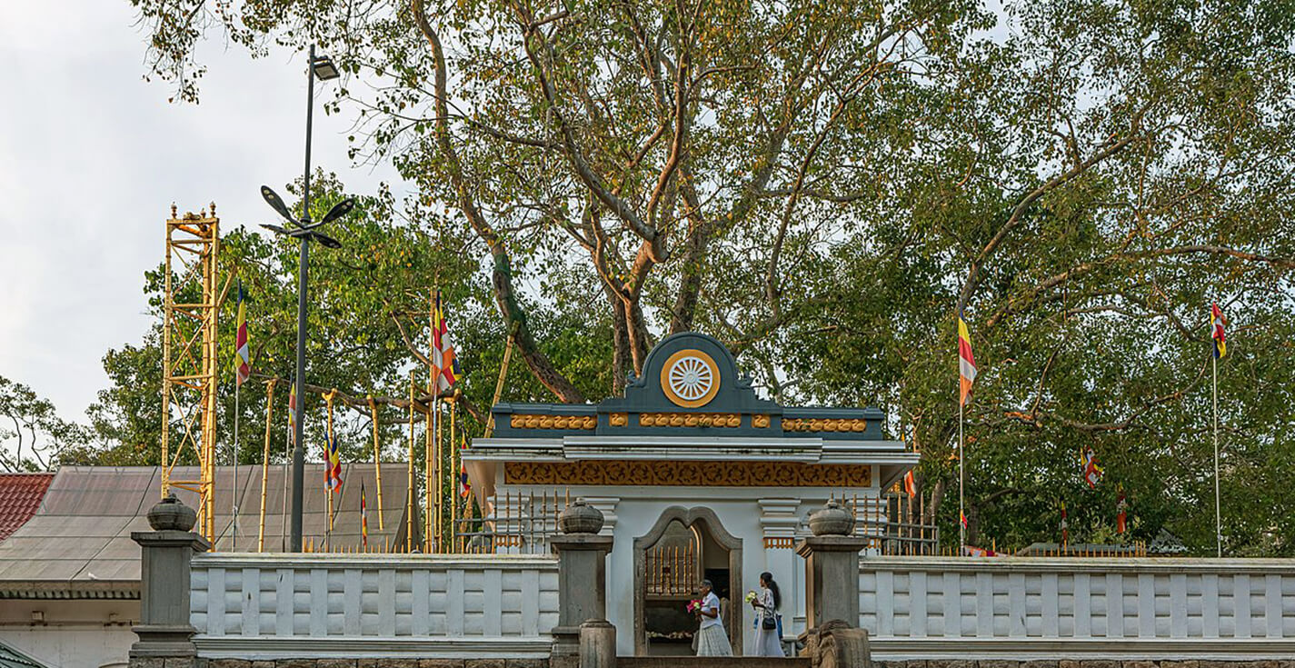 Sri Maha Bodhi