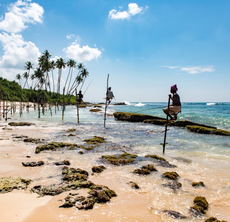 Stilt Fishing