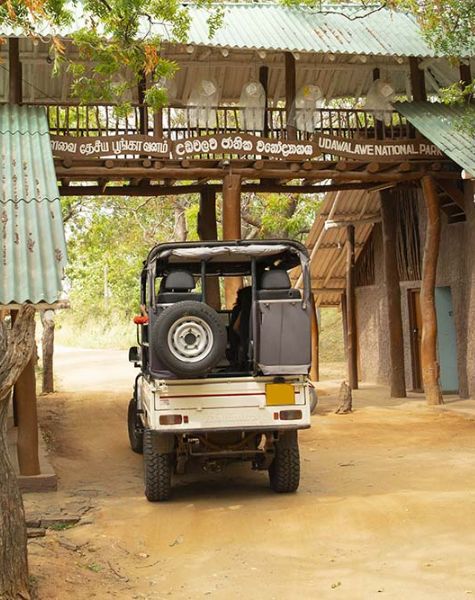 Udawalawa Jeep Safari