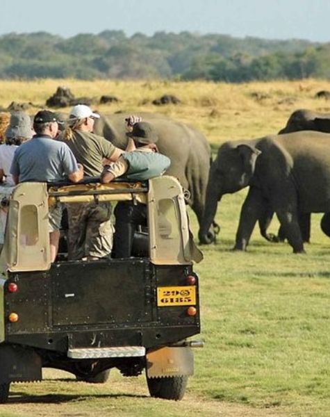 Wasgamuwa National Park in Sri Lanka