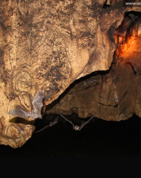 Waulpane cave<br />
