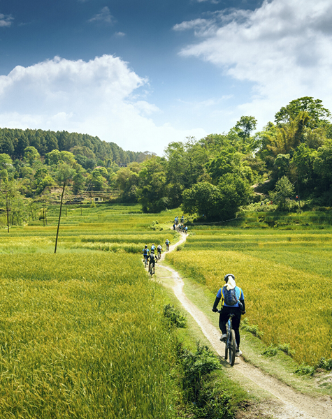 Cycle Tour