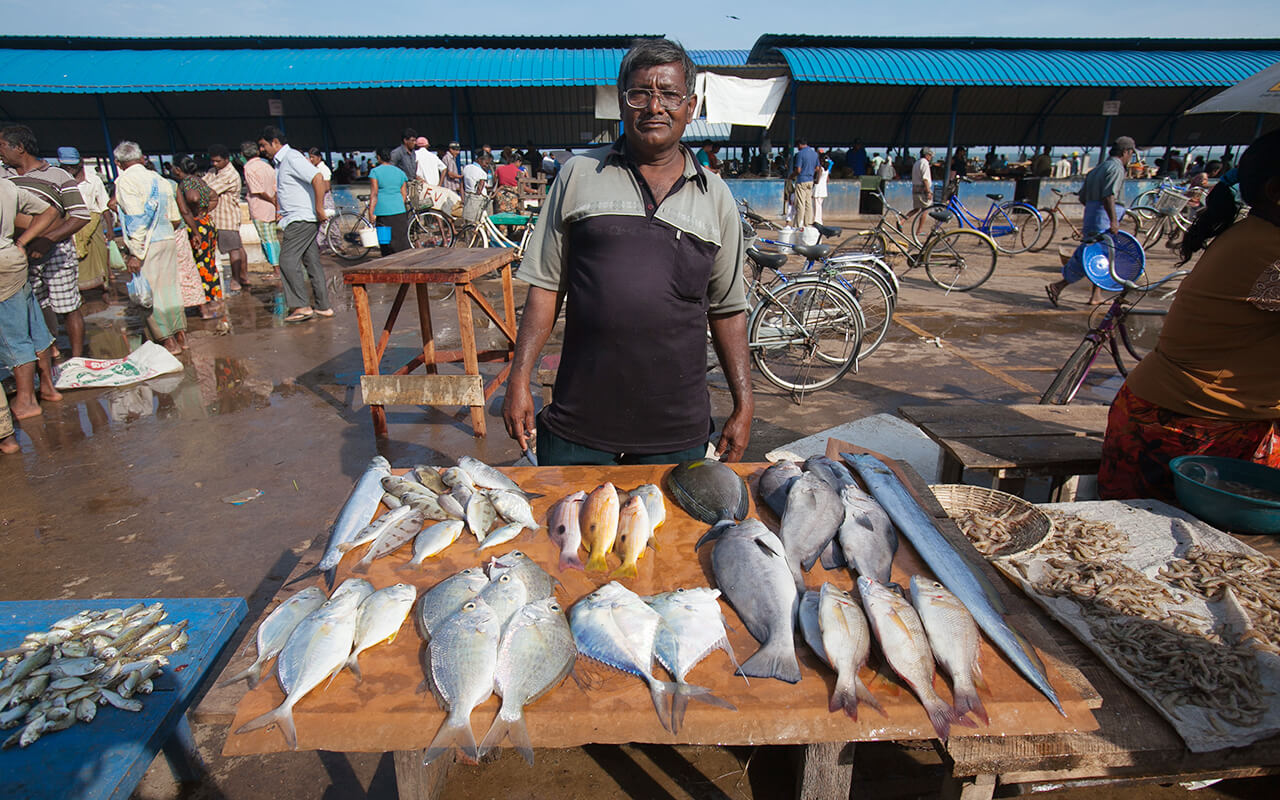 Negombo Lagoon