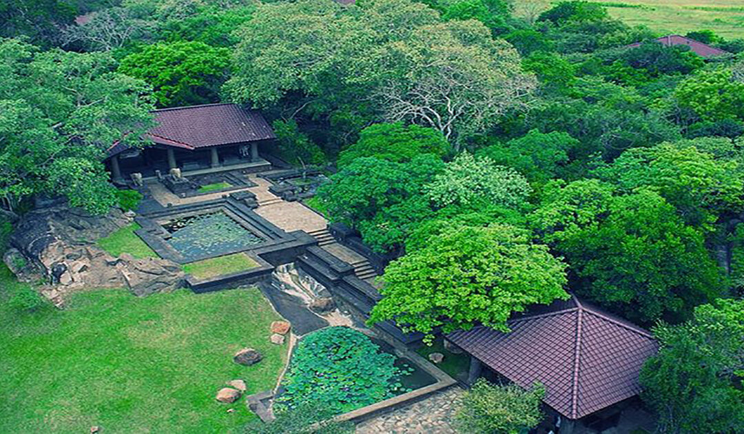 Forest Rock Garden