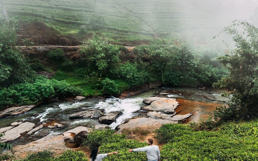 04 Days- Kandy- Nuwara-Eliya- Colombo Tour