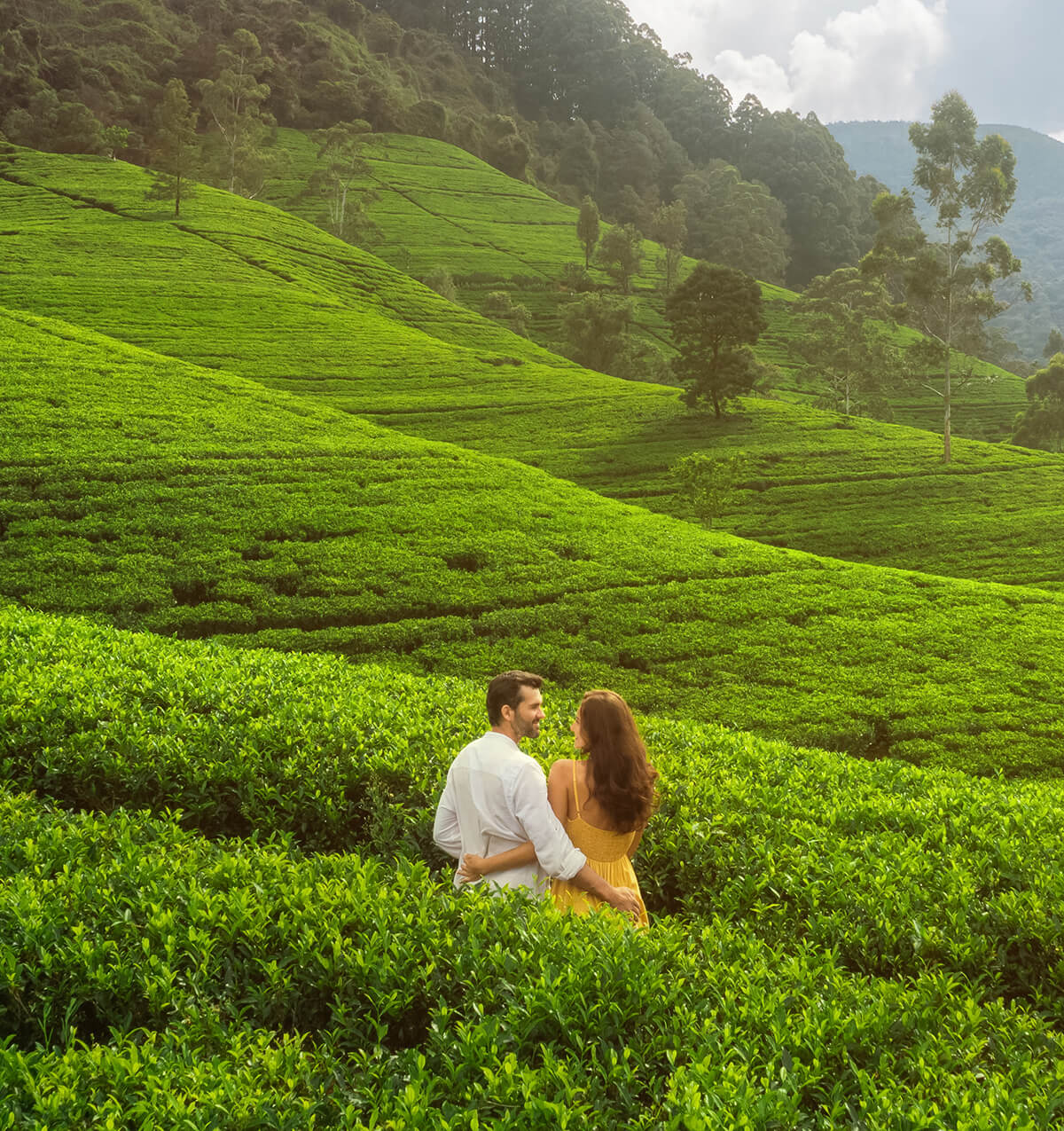 Honeymoon in Sri Lanka