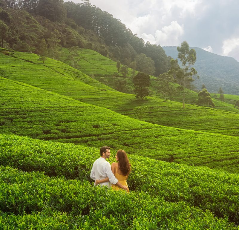 Honeymoon in Sri Lanka