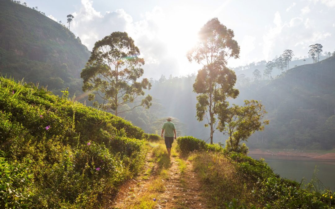 Off the Beaten Track Tour in Sri Lanka