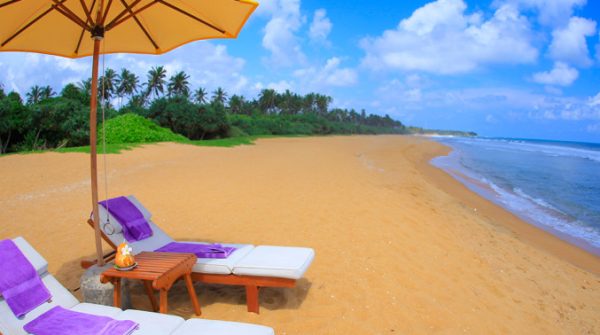 Aditya Resort