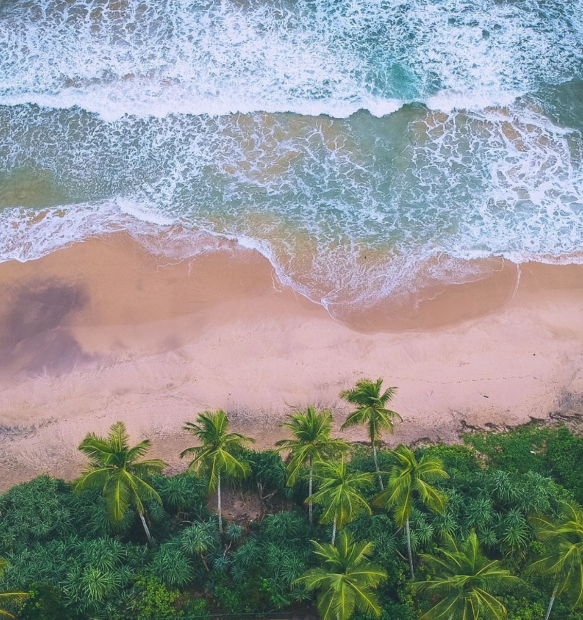 Beaches in Sri Lanka Blue Lanka