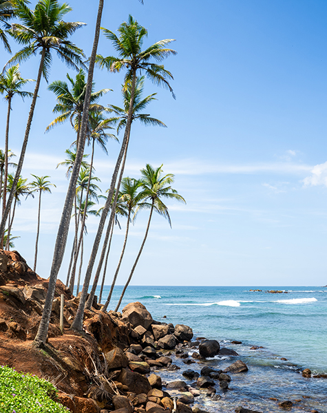 Famous Coconut Tree Hill in Mirissa, Sri Lanka 