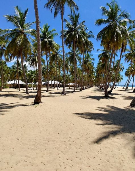 Kalkudah Beach in Sri Lanka (1)