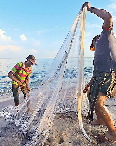 Local Fisherman