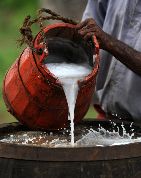 Palm wine in Jaffna