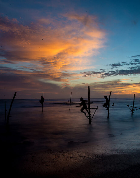 Stilt Fishermen