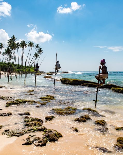 Stilt Fishing in Sri Lanka