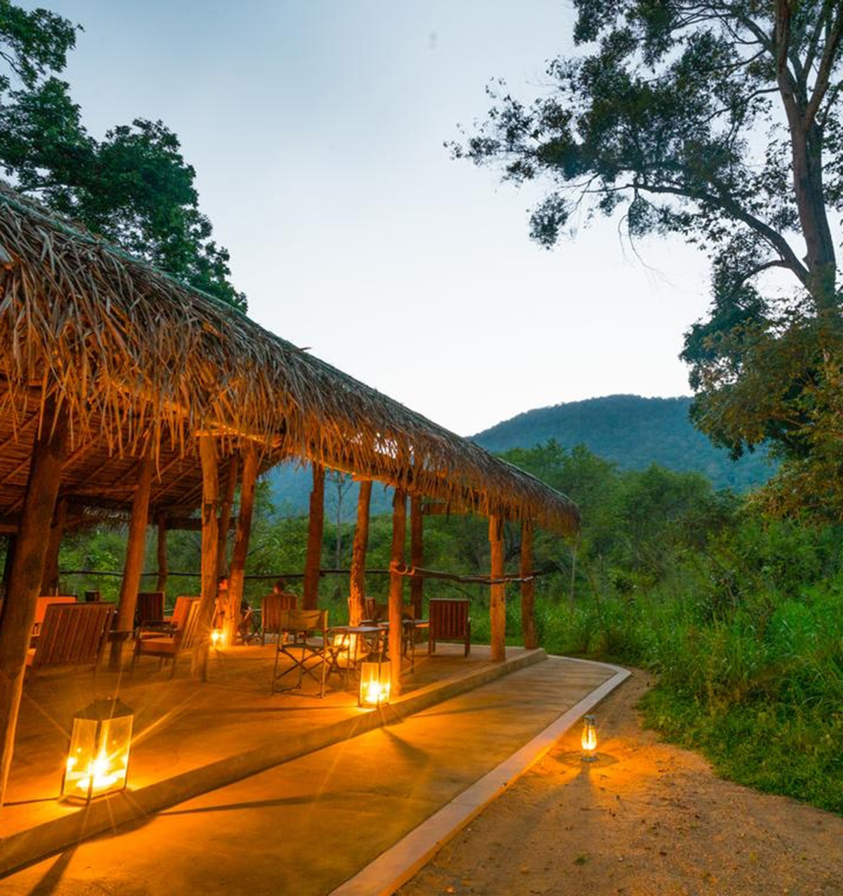 Tree Tops Jungle Lodge