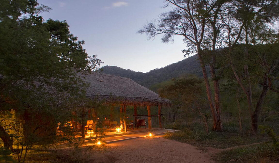 Tree Tops Jungle Lodge